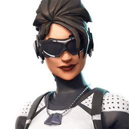 Arctic Assassin Fortnite Skin