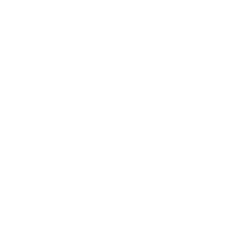 Rescue Run Fortnite Emote