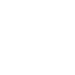 #1 Fan Llama Fortnite Emote