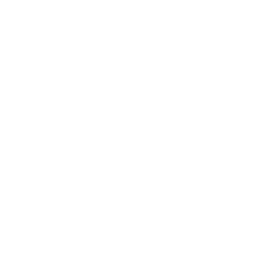 Roundhouse Fortnite Emote