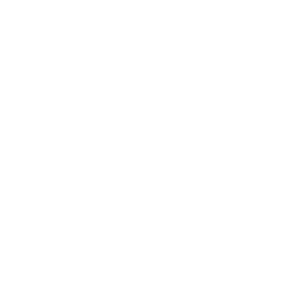 Real Slim Shady Fortnite Emote