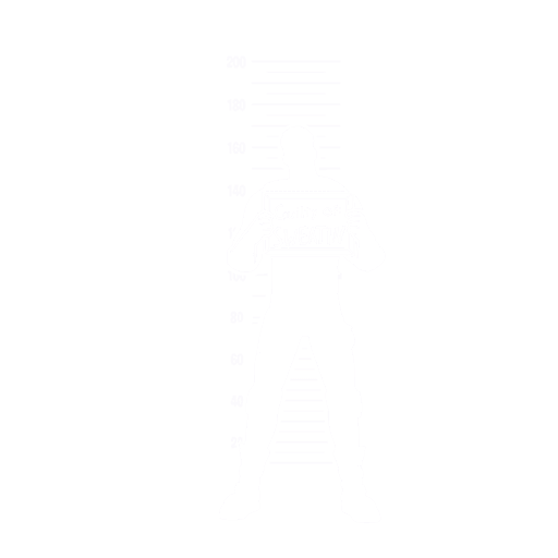 Swag Shot Fortnite Emote