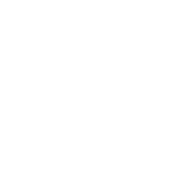 Conqueror's Claim Fortnite Emote