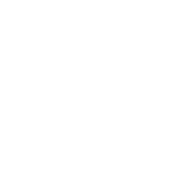 Fireworks Salvo Fortnite Emote