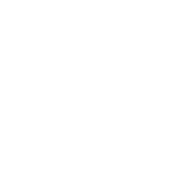 Ninja Stance: Leo Fortnite Emote
