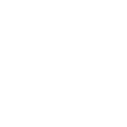 Lil' Tank Fortnite Emote