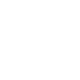 Camera Celebration Fortnite Emote