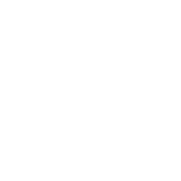 São Paulo Fortnite Emote
