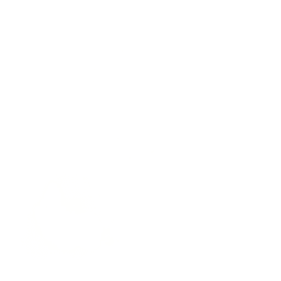 Sparrow Run Fortnite Emote
