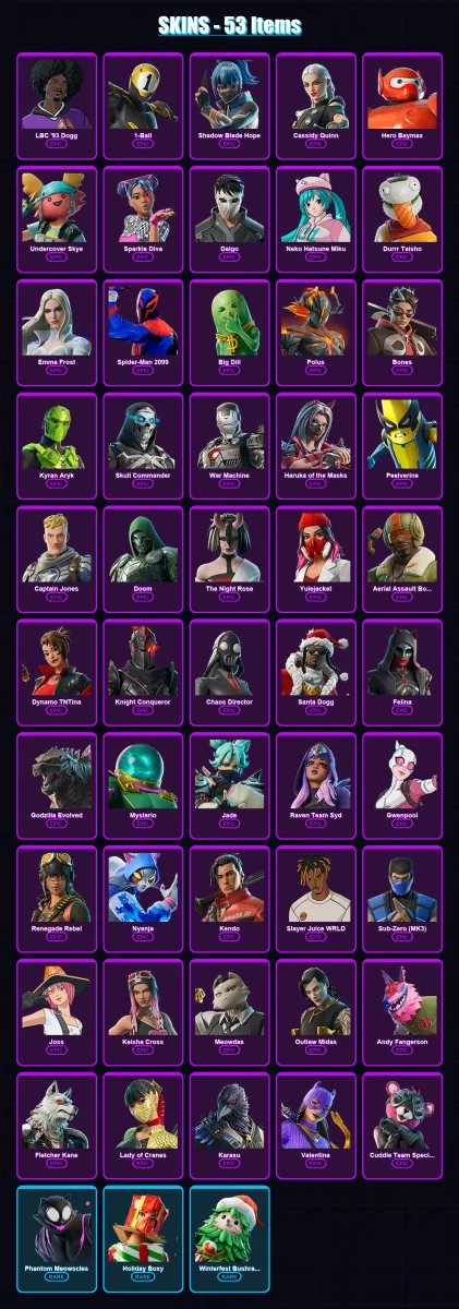 [PS4/PS5/XBOX/PC] | LBC '93 Dogg | 1-Ball | Shadow Blade Hope | Cassidy Quinn | Hero Baymax | 53 skin | 68 pickaxe | 52 emote | 47 glider | Lv588