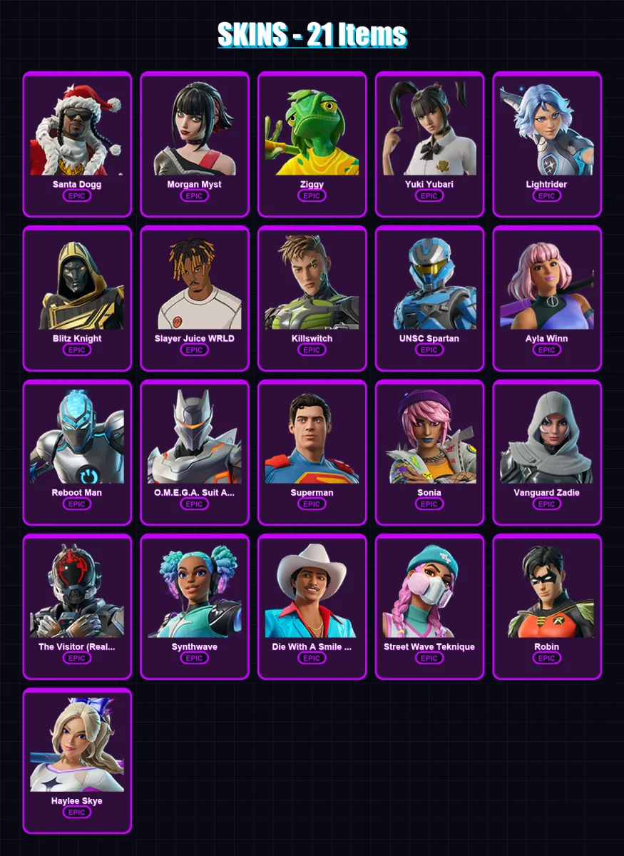 [PC/PSN] | Santa Dogg | Morgan Myst | Ziggy | Yuki Yubari | Lightrider | 21 skin | 96 pickaxe | 44 emote | 66 glider | Lv1041