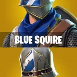 10 Skins Blue Squire Royale Knight Mako Glider — Fortnite account