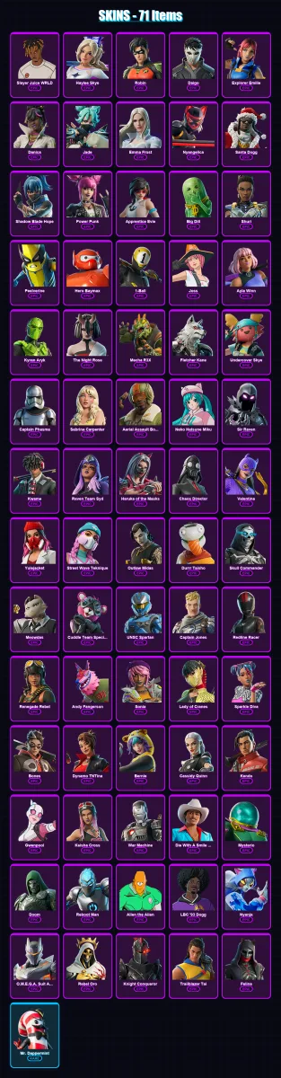 [PC] | Slayer Juice WRLD | Haylee Skye | Robin | Daigo | Explorer Emilie | 71 skin | 83 pickaxe | 63 emote | 47 glider | Lv607