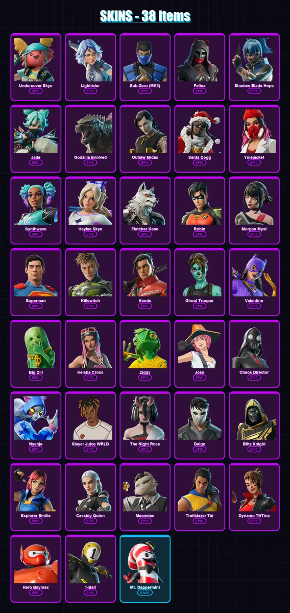 [PC/XBOX/PSN] | Undercover Skye | Lightrider | Sub-Zero (MK3) | Felina | Shadow Blade Hope | 38 skin | 91 pickaxe | 50 emote | 70 glider | Lv1106
