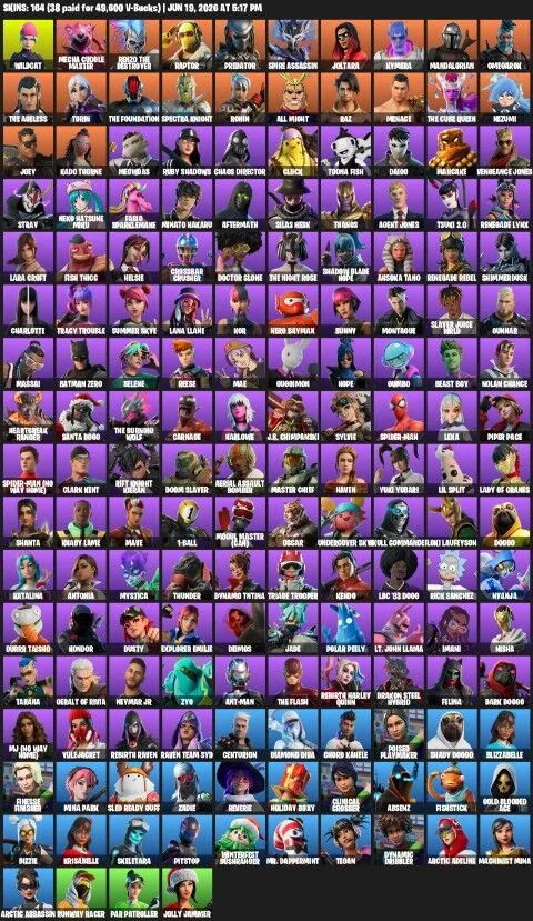 Wildcat 164 Skins — Fortnite account