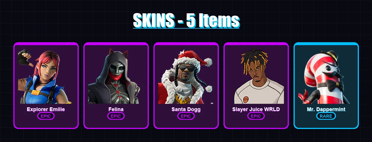 [PC/XBOX/PSN] | Explorer Emilie | Felina | Santa Dogg | Slayer Juice WRLD | Mr. Dappermint | 5 skin | 22 pickaxe | 10 emote | 14 glider | Lv253