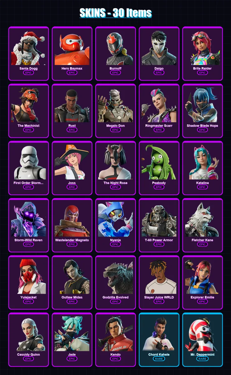[PC] | Santa Dogg | Hero Baymax | Burnoff | Daigo | Brite Raider | 30 skin | 55 pickaxe | 26 emote | 32 glider | Lv430