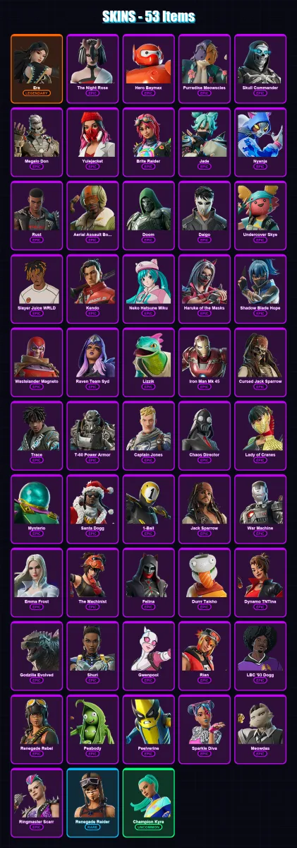 [PC/PSN] | Era | The Night Rose | Hero Baymax | Purradise Meowscles | Skull Commander | 53 skin | 79 pickaxe | 54 emote | 51 glider | Lv617 — Fortnite account