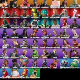 PC FULL ACCESS 60 skins Solid Snake Optimus Prime Khaby Lame Mysterio Emma Frost Wastelander Magneto Omegarok 1450 VB — Fortnite account