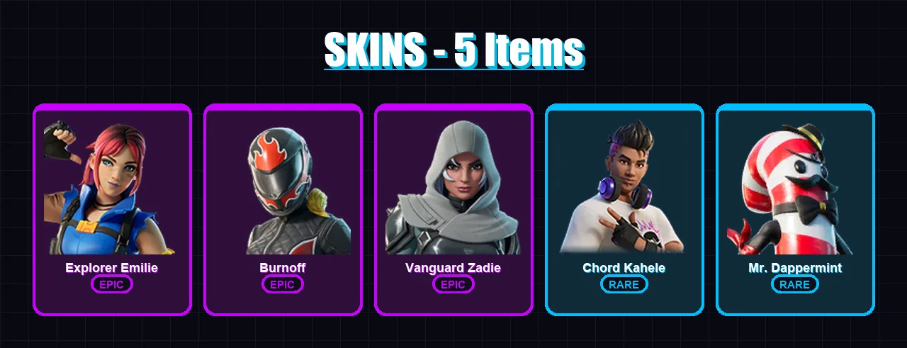 [PS4/PS5/XBOX/PC] | Explorer Emilie | Burnoff | Vanguard Zadie | Chord Kahele | Mr. Dappermint | 5 skin | 24 pickaxe | 11 emote | 18 glider | Lv244