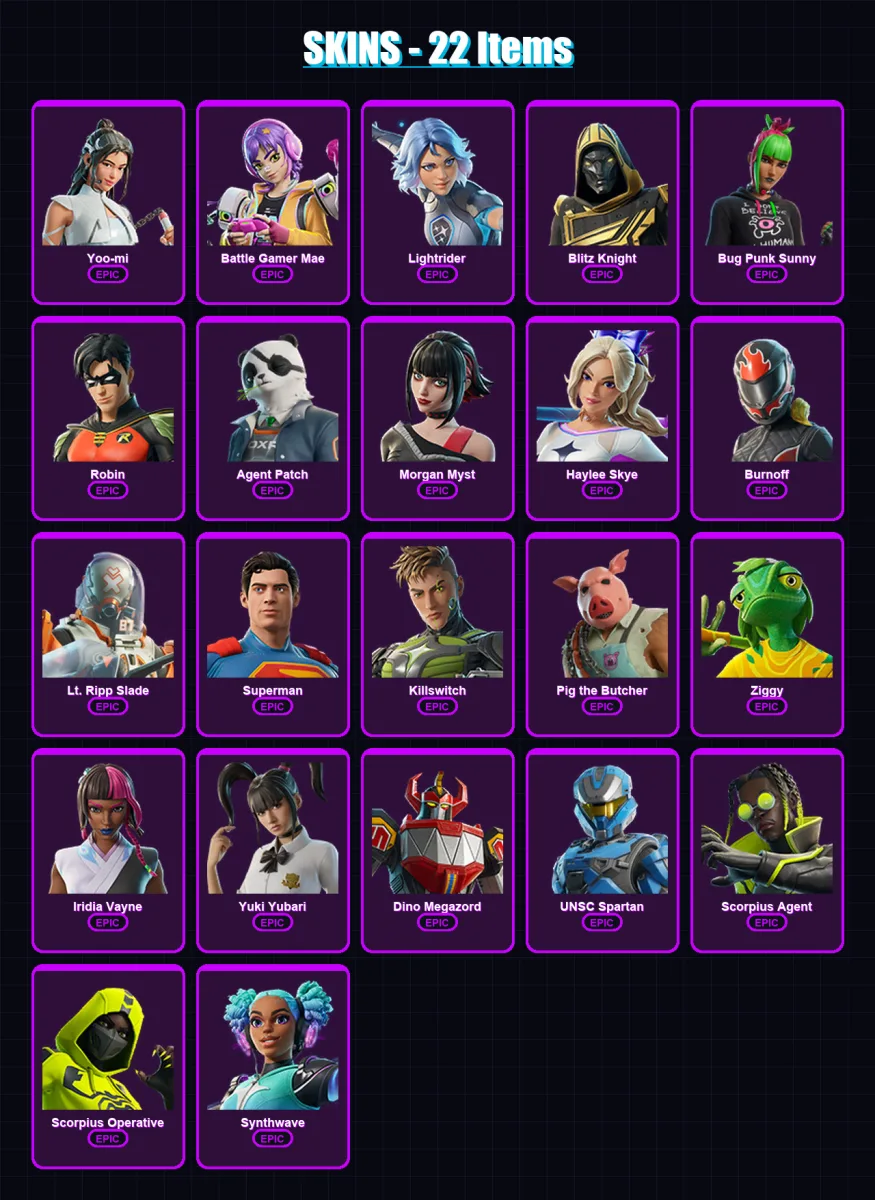 [PC/XBOX/PSN] | Yoo-mi | Battle Gamer Mae | Lightrider | Blitz Knight | Bug Punk Sunny | 22 skin | 47 pickaxe | 30 emote | 28 glider | Lv460 — Fortnite account
