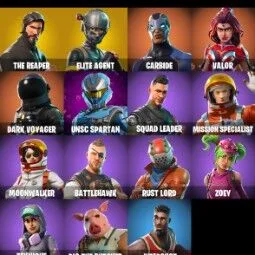 15 Skins | The Reaper | Take The L — Fortnite account