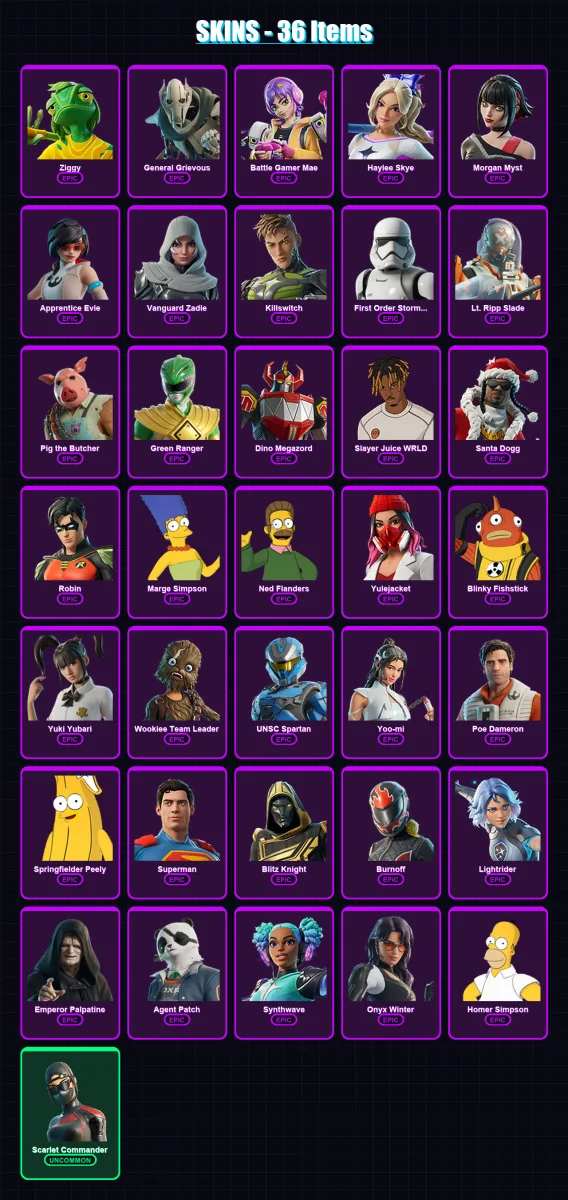 [PC/PSN] | Ziggy | General Grievous | Battle Gamer Mae | Haylee Skye | Morgan Myst | 36 skin | 82 pickaxe | 40 emote | 57 glider | Lv690 — Fortnite account