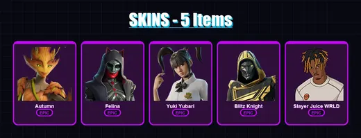 [PC/XBOX/PSN] | Autumn | Felina | Yuki Yubari | Blitz Knight | Slayer Juice WRLD | 5 skin | 51 pickaxe | 30 emote | 40 glider | Lv711 — Game account
