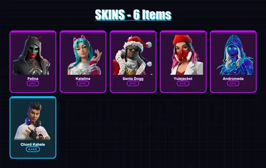 [PC/XBOX/PSN] | Felina | Katalina | Santa Dogg | Yulejacket | Andromeda | 6 skin | 22 pickaxe | 11 emote | 12 glider | Lv217 — Game account
