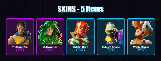 [PC] | Trailblazer Tai | Lt. Evergreen | Holiday Boxy | Subzero Cryptic | Wooly Warrior | 5 skin | 12 pickaxe | 6 emote | 12 glider | Lv90