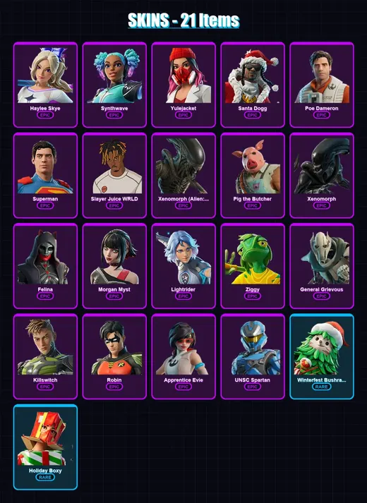 [PC/XBOX/PSN] | Haylee Skye | Synthwave | Yulejacket | Santa Dogg | Poe Dameron | 21 skin | 64 pickaxe | 32 emote | 50 glider | Lv635