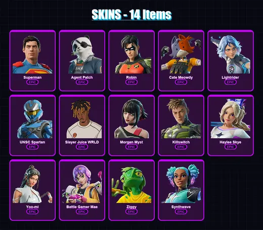 [PC/PSN] | Superman | Agent Patch | Robin | Cate Meowdy | Lightrider | 14 skin | 26 pickaxe | 22 emote | 21 glider | Lv204