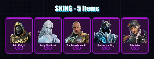 [PC/XBOX/PSN] | Blitz Knight | Lady Windfrost | The Foundation (Reforged) | 5 skin | Lv220