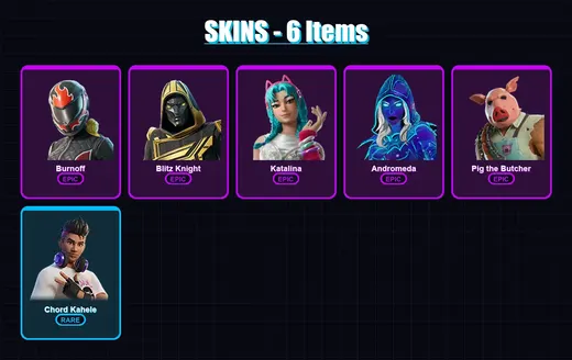 [PC/PSN] | Burnoff | Blitz Knight | Katalina | Andromeda | Pig the Butcher | 6 skin | 46 pickaxe | 18 emote | 26 glider | Lv263 — Game account