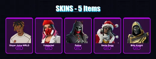 [PC/XBOX/PSN] | Slayer Juice WRLD | Yulejacket | Felina | Santa Dogg | Blitz Knight | 5 skin | 75 pickaxe | 32 emote | 47 glider | Lv995