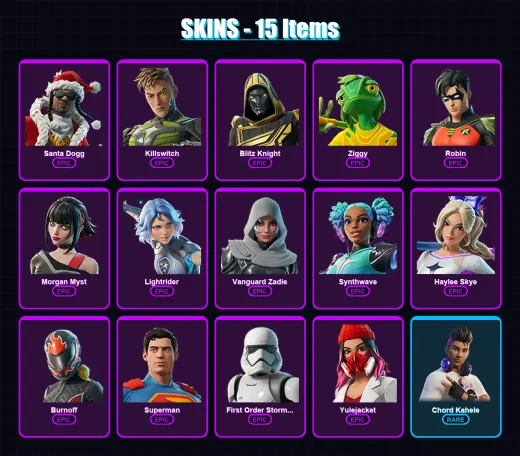 [PC/XBOX/PSN] | Santa Dogg | Killswitch | Blitz Knight | Ziggy | Robin | 15 skin | 32 pickaxe | 18 emote | 22 glider | Lv256
