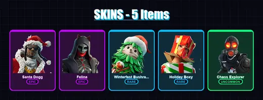 [PS4/PS5/XBOX/PC] | Santa Dogg | Felina | Winterfest Bushranger | Holiday Boxy | Chaos Explorer | 5 skin | 28 pickaxe | 10 emote | 22 glider | Lv348 — Game account