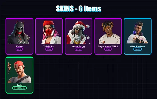 [PC/XBOX/PSN] | Felina | Yulejacket | Santa Dogg | Slayer Juice WRLD | Chord Kahele | 6 skin | 30 pickaxe | 11 emote | 19 glider | Lv219 — Game account