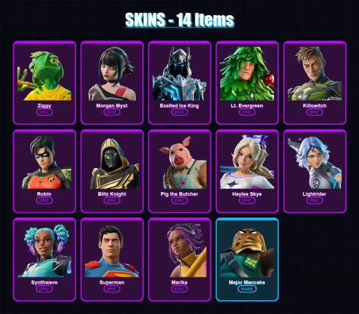 [PC/XBOX/PSN] | Ziggy | Morgan Myst | Exalted Ice King | Lt. Evergreen | Killswitch | 14 skin | 35 pickaxe | 22 emote | 29 glider | Lv350