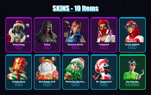 [PC/PSN] | Santa Dogg | Felina | Explorer Emilie | Yulejacket | Arctic Adeline | 10 skin | 50 pickaxe | 22 emote | 39 glider | Lv639 — Game account