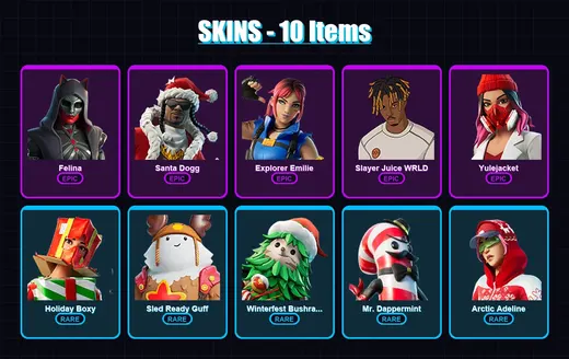 [PC/PSN] | Felina | Santa Dogg | Explorer Emilie | Slayer Juice WRLD | Yulejacket | 10 skin | 49 pickaxe | 34 emote | 44 glider | Lv746 — Game account