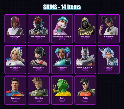 [PS4/PS5/XBOX/PC] | Iridia Vayne | The Visitor (Reality Unknown) | Street Wave Teknique | 14 skin | Lv419 — Game account