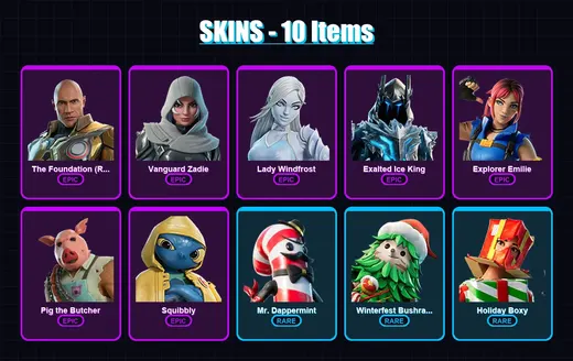 [PC/PSN] | The Foundation (Reforged) | Vanguard Zadie | Lady Windfrost | 10 skin | Lv206 — Game account