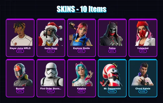 [PC] | Slayer Juice WRLD | Santa Dogg | Explorer Emilie | Felina | Yulejacket | 10 skin | 32 pickaxe | 10 emote | 19 glider | Lv216
