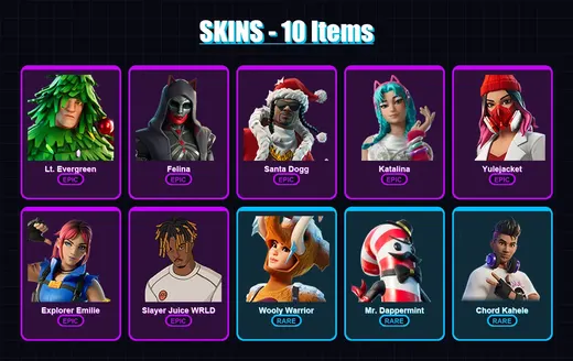 [PC/XBOX/PSN] | Lt. Evergreen | Felina | Santa Dogg | Katalina | Yulejacket | 10 skin | 19 pickaxe | 9 emote | 13 glider | Lv178