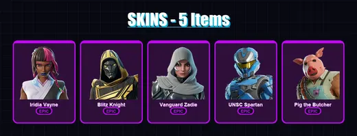 [PC/XBOX/PSN] | Iridia Vayne | Blitz Knight | Vanguard Zadie | UNSC Spartan | Pig the Butcher | 5 skin | 46 pickaxe | 20 emote | 31 glider | Lv586 — Game account