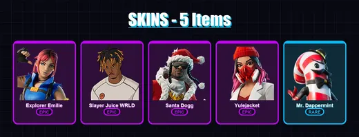 [PS4/PS5/XBOX/PC] | Explorer Emilie | Slayer Juice WRLD | Santa Dogg | 5 skin | Lv304 — Game account