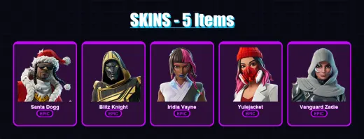 [PS4/PS5/XBOX/PC] | Santa Dogg | Blitz Knight | Iridia Vayne | Yulejacket | Vanguard Zadie | 5 skin | 41 pickaxe | 16 emote | 22 glider | Lv299