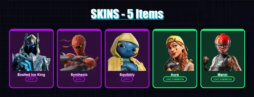 [PC/XBOX/PSN] | Exalted Ice King | Synthesis | Squibbly | Aura | Manic | 5 skin | 11 pickaxe | 7 emote | 9 glider | Lv41 — Game account