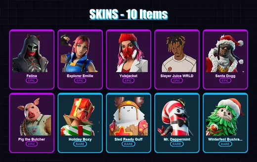 [PS4/PS5/XBOX/PC] | Felina | Explorer Emilie | Yulejacket | Slayer Juice WRLD | Santa Dogg | 10 skin | 47 pickaxe | 13 emote | 35 glider | Lv459 — Game account